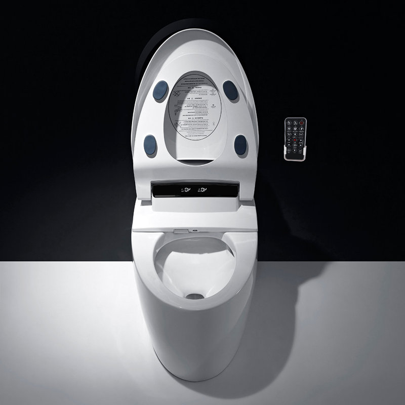 XSIX Smart Bidet Elongated Toilet Bidet, Warm Water Clear, Auto Flush